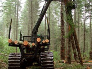spare heavy machinery parts for the forestry industry